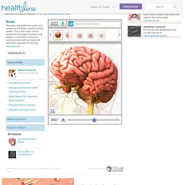 Brain Function, Anatomy & Diagram