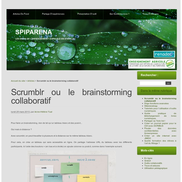 Scrumblr ou le brainstorming collaboratif