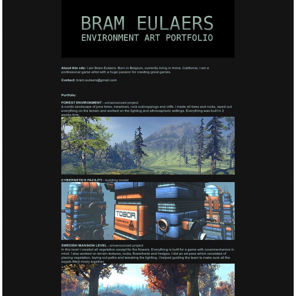 Bram Eulaers - portfolio