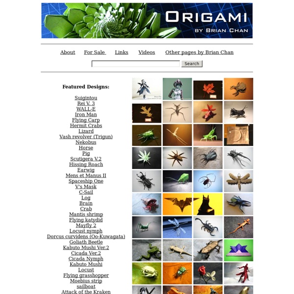 Brian's Origami Page