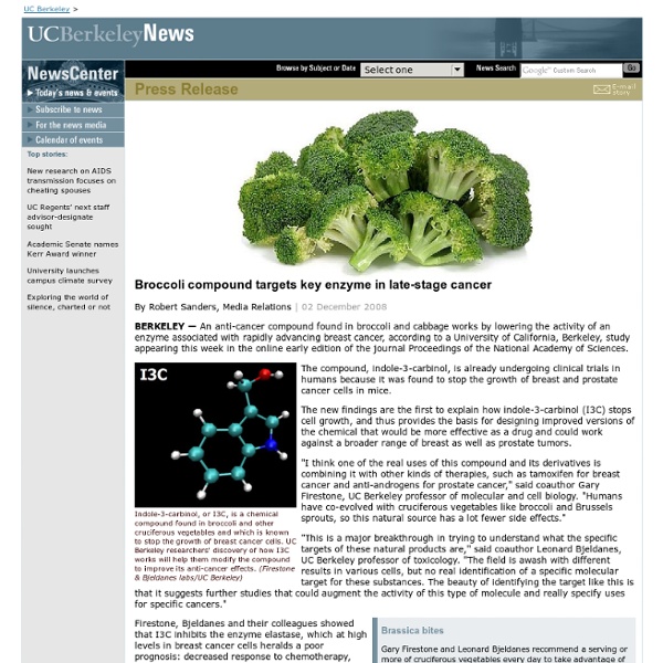 12.02.2008 - Broccoli compound targets key enzyme in late-stage cancer