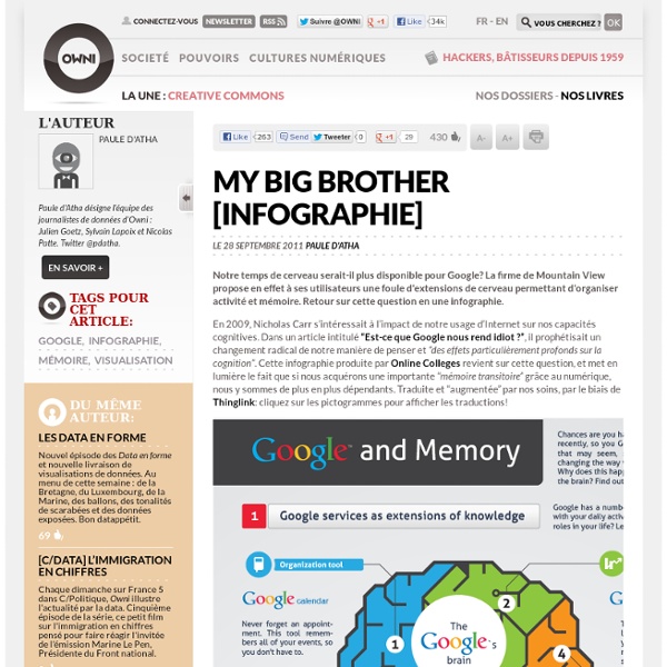 My Big Brother [Infographie]