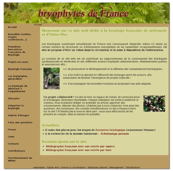 Bryophytes de France