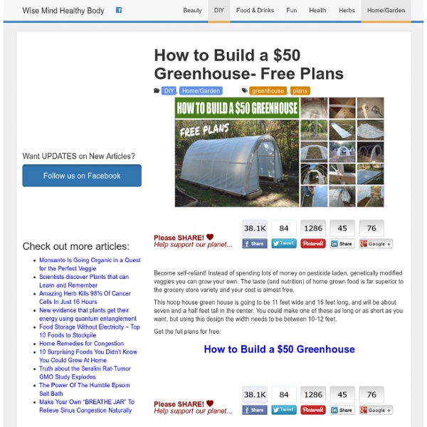 How to Build a $50 Greenhouse- Free Plans
