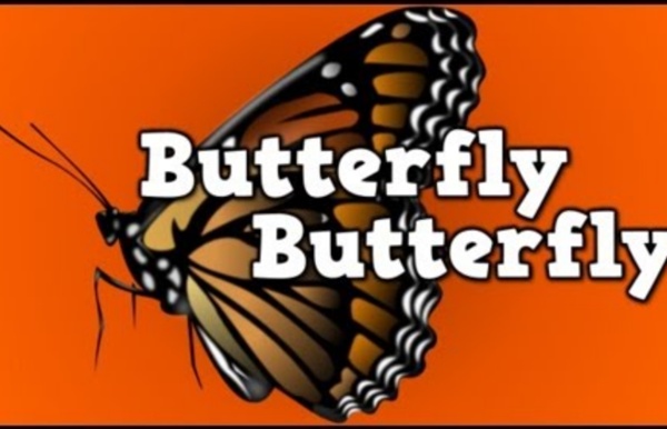 Butterfly, Butterfly! (a song for kids about the butterfly life cycle)