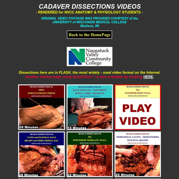 CADAVER DISSECTION VIDEOS