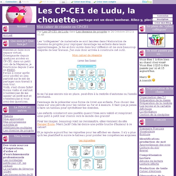 Mon cahier de réussite en CP-CE1 - Les CP-CE1 de Ludu, la chouette.