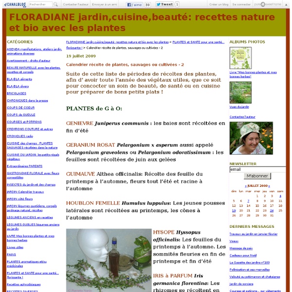 Calendrier récolte de plantes, sauvages ou cultivées - 2