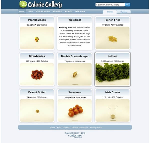 Caloriegallery.com home
