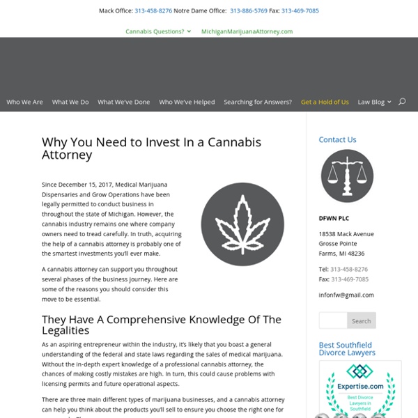 Why You Need to Buy a Cannabis Lawyer