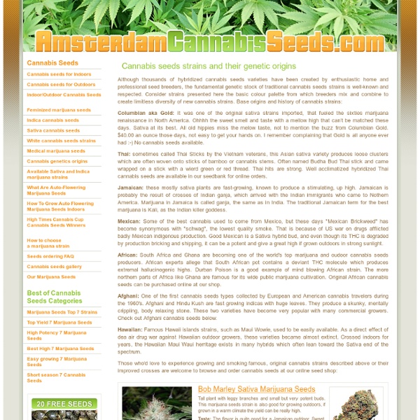 Cannabis seeds species genetic origins and history of marijuana strains