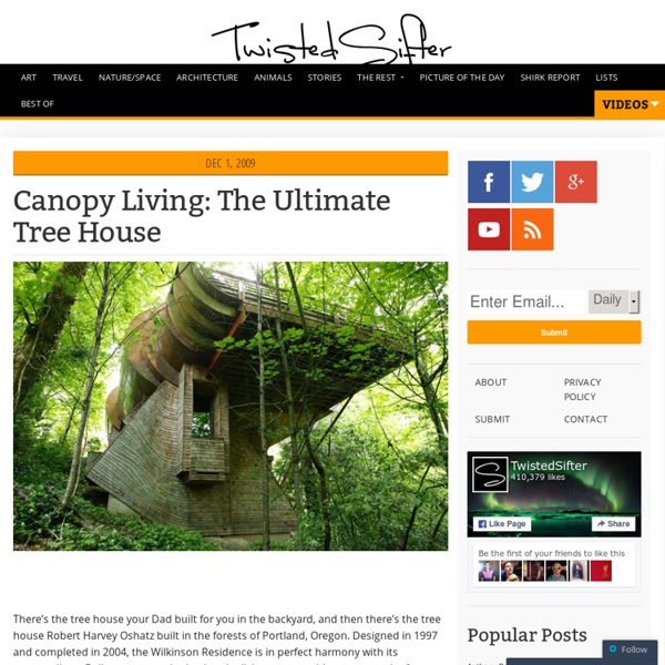 Canopy Living: The Ultimate Tree House