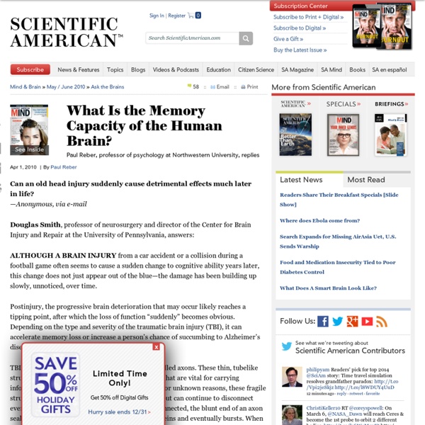 What Is the Memory Capacity of the Human Brain?