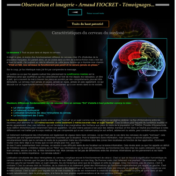 Caractéristiques du cerveau du surdoué - ETRE SURDOUE - PRECOCITE ET DOUANCE : Un handicap plutôt qu'une chance !