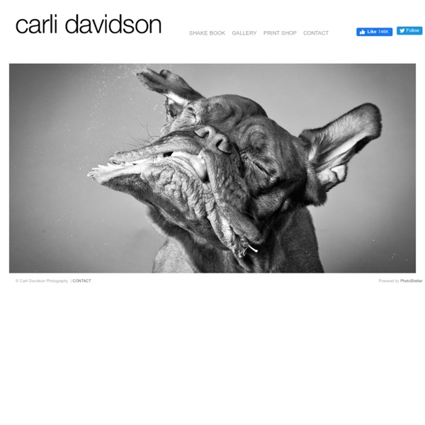 Carli Davidson Photography