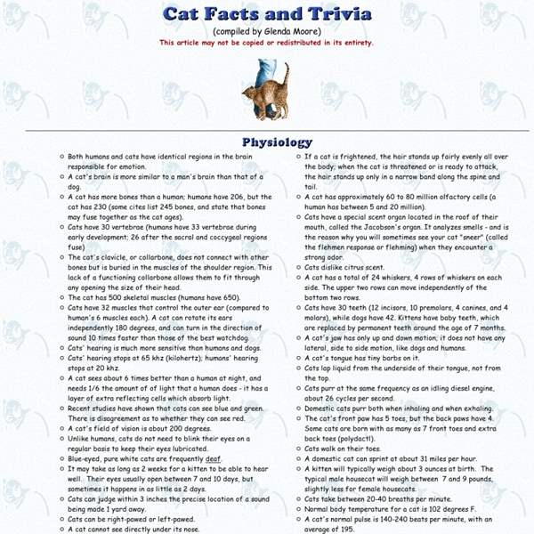 Cat Facts and Trivia