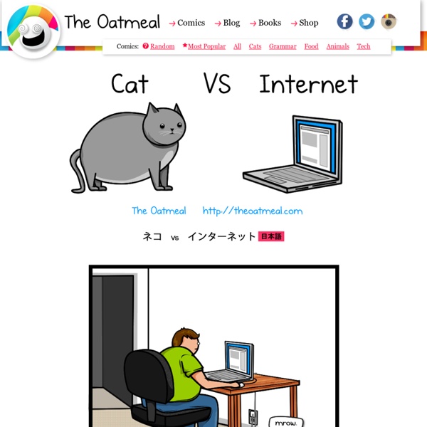 Cat vs Internet