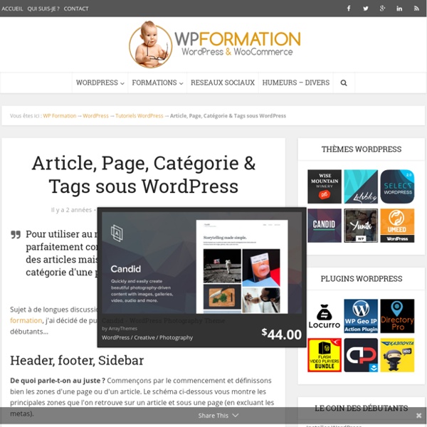 Article, Page, Catégorie & Tag WordPress, les différences