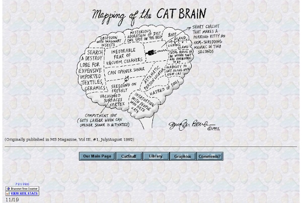 The Mapping of a Cats Brain - StumbleUpon