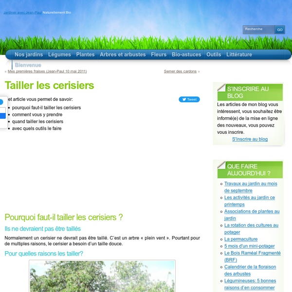 Tailler les cerisiers « Arbres Fruitiers Et Petits Fruits « Arbres