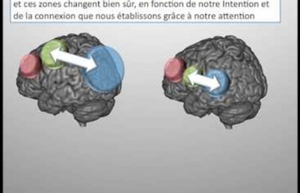 Le Cerveau Funambule (2/3) : Pouce, Index, Majeur