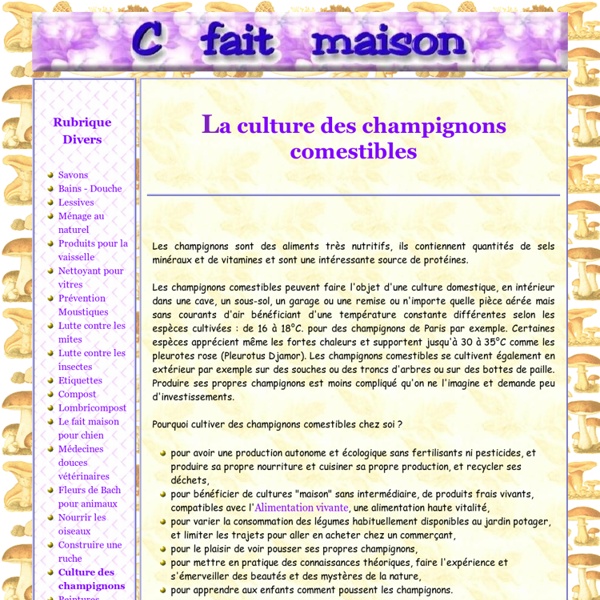 Comment Cultiver Des Champignons De Paris Chez Soi Sans Kit La culture des champignons comestibles chez soi | Pearltrees