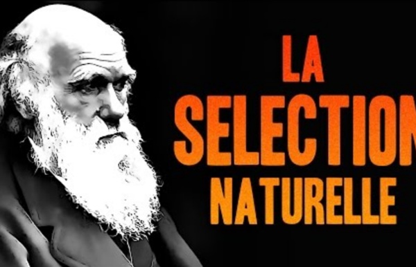 CHARLES DARWIN & LA SÉLECTION NATURELLE