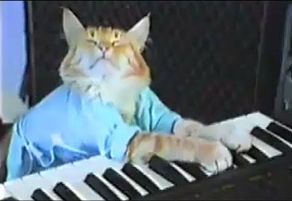 Charlie Schmidt's Keyboard Cat! - THE ORIGINAL!