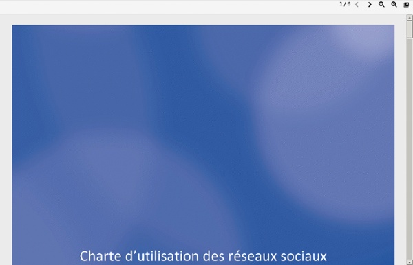 Charte_reseaux_sociaux.pdf