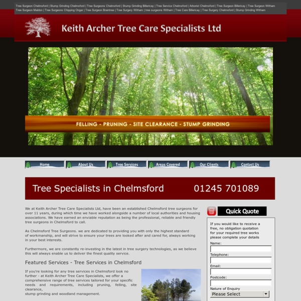 Tree Surgeons In Chelmsford
