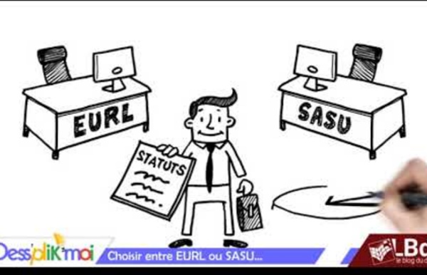 Choisir entre les statuts d'EURL ou SASU