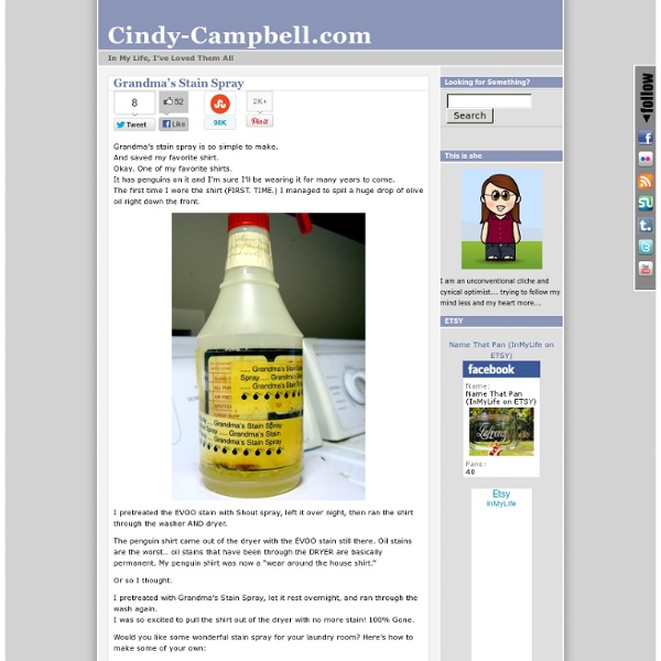 Blog Archive & Grandma's Stain Spray