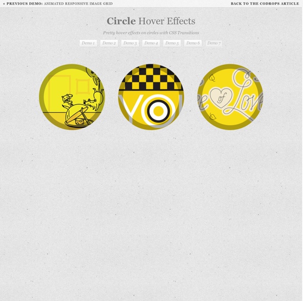 Circle Hover Effects with CSS Transitions