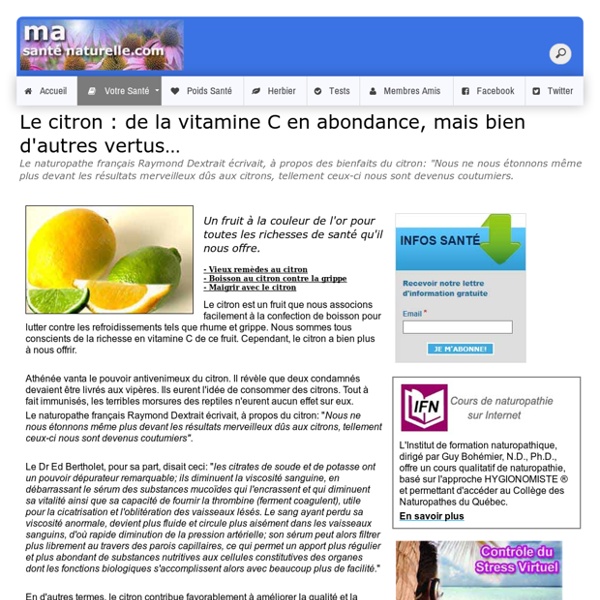 Le citron : de la vitamine C en abondance, mais bien d'autres vertus…