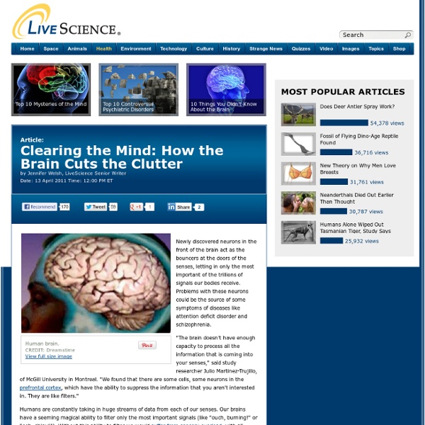 Clearing the Mind: How the Brain Cuts the Clutter