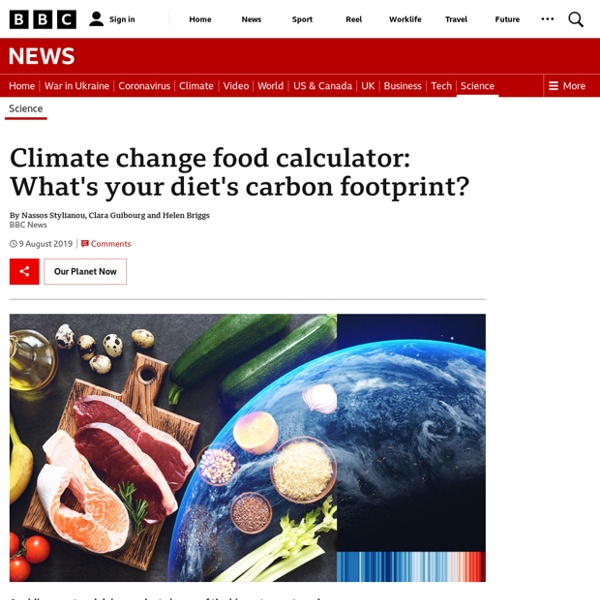Meat or two veg? Find out your food's climate footprint