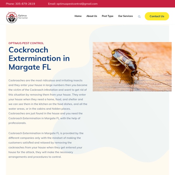 Cockroach Extermination in Margate FL