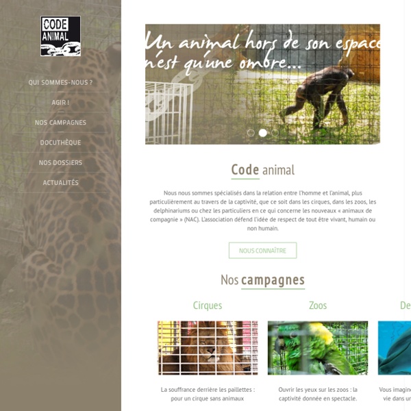 Code Animal: Protection et défense des animaux captifs (cirque, zoo, nac), association pour la protection et la défense animale