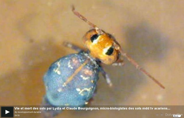 Vie et mort des sols par Lydia et Claude Bourguignon, micro-biologistes des sols mdd tv acariens collemeboles microbes laboratoire LAMS agriculture durable biodiversité couvert végétal