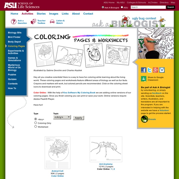Biology Coloring Pages Worksheets