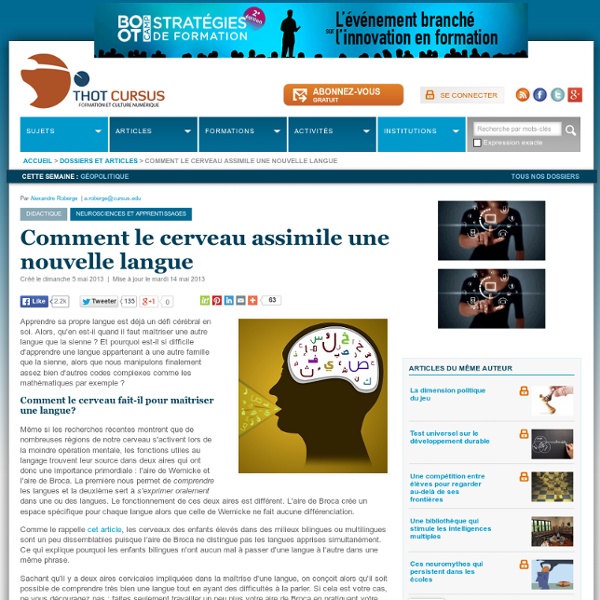 Comment le cerveau assimile une nouvelle langue