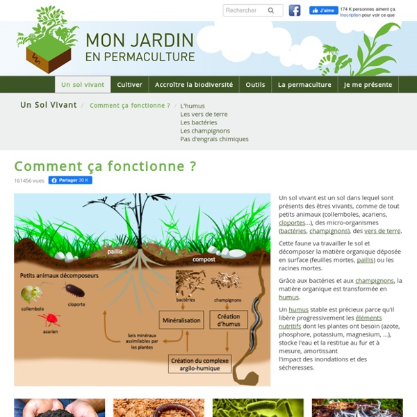 Comment ça fonctionne ? - monjardinenpermaculture.fr