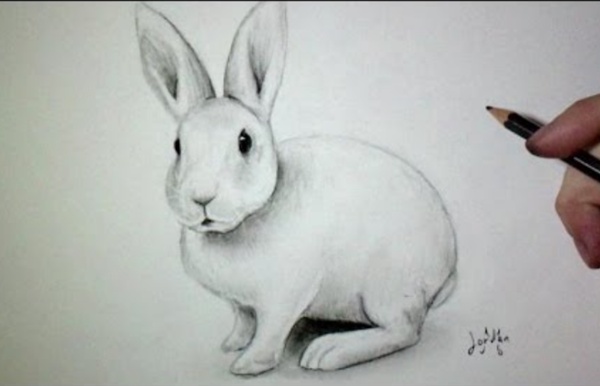 Comment dessiner un lapin [Tutoriel]