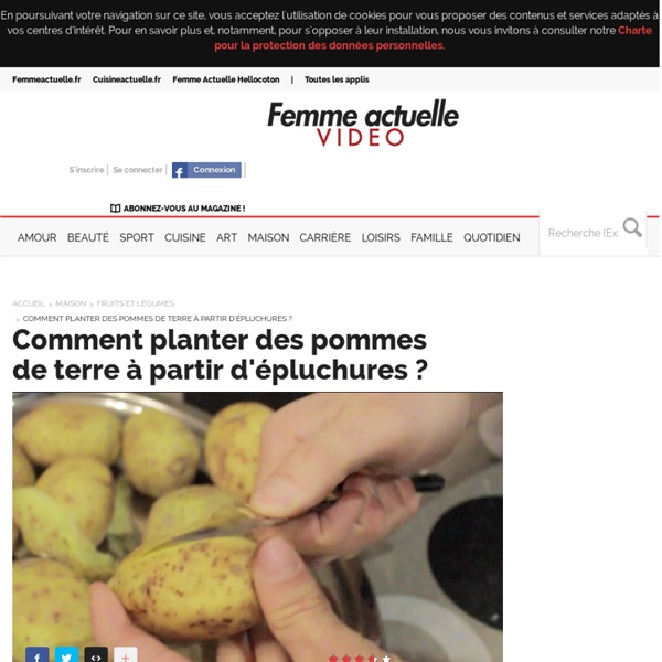 Comment planter des pommes de terre à partir d'épluchures ? - Fruits et légumes
