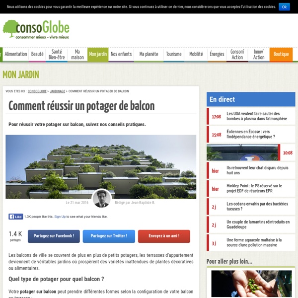 Comment réussir un potager de balcon