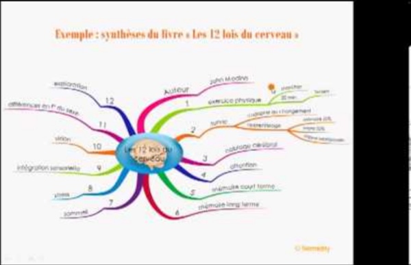 Comment synthétiser et prendre note avec le Mind Mapping