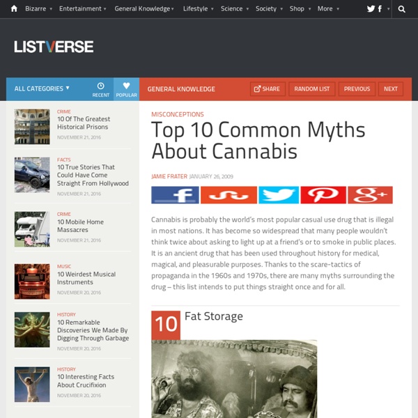 Top 10 Common Myths About Cannabis