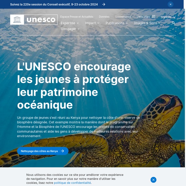 Organisation des Nations Unies p