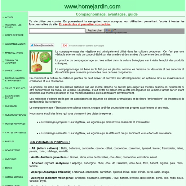 COMPAGNONNAGE - TOUTES LES METHODES