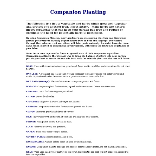 Companion Planting